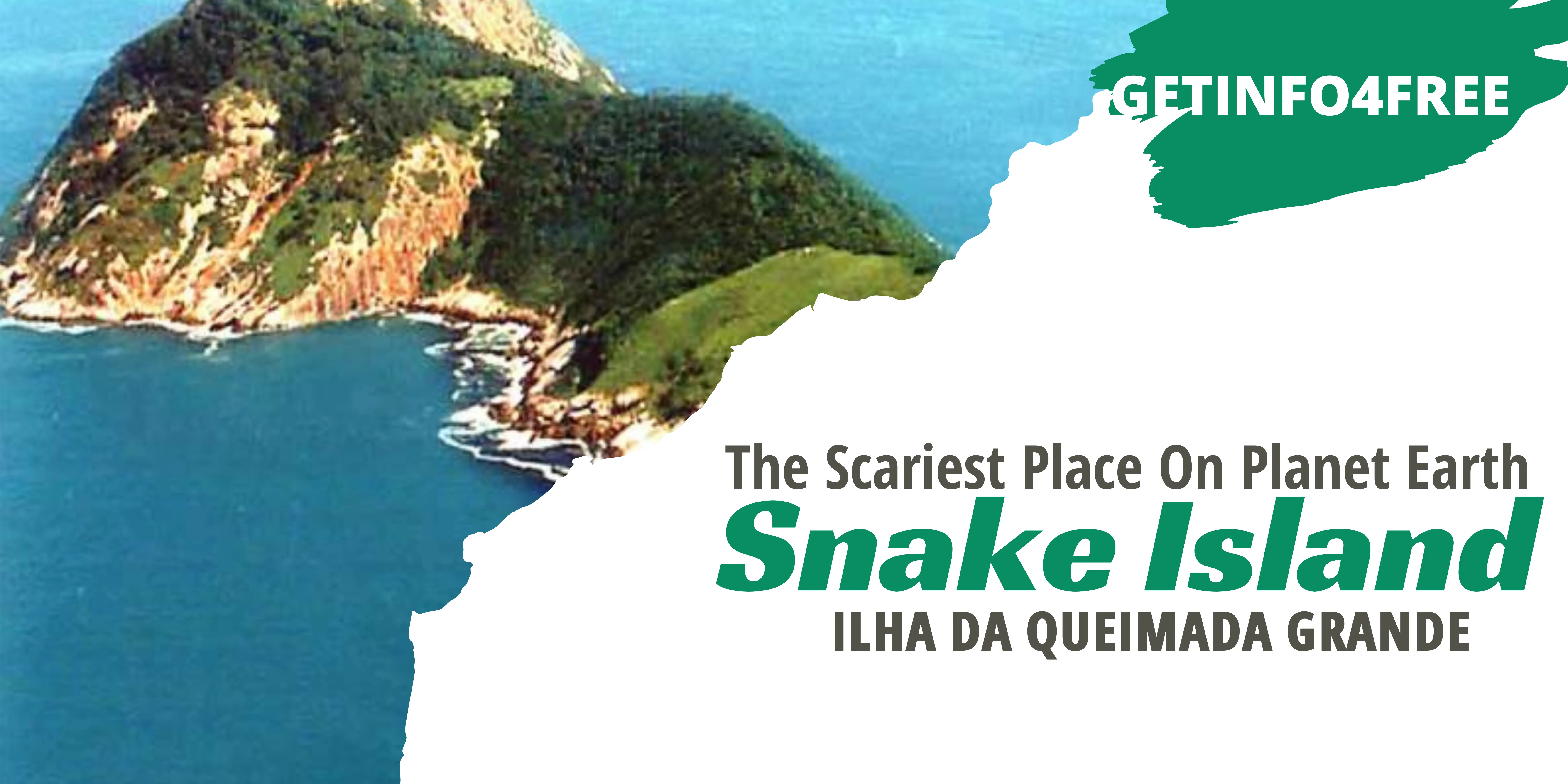 Snake Island (Ilha da Queimada Grande) ,The Scariest Place On Planet Earth