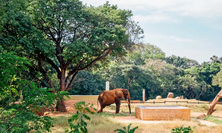 Mysore Zoo